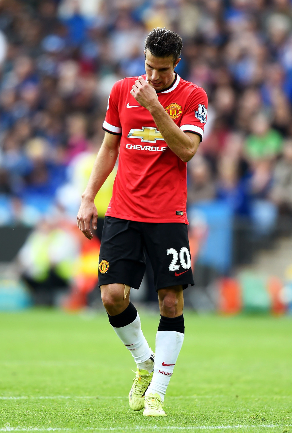 CBA季后赛前瞻：广东男篮力争三连冠,（CBA季后赛展望：广东冲击三连冠）